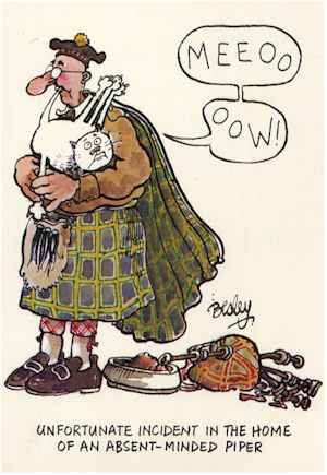 113.jpg (19584 octets)