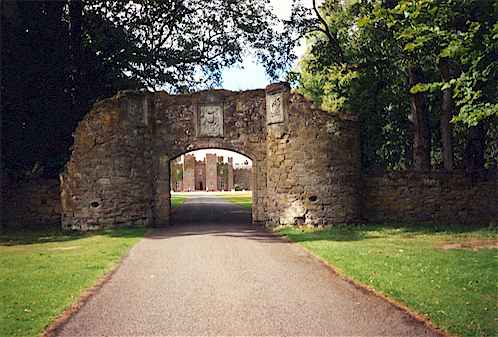 202.jpg (29564 octets)